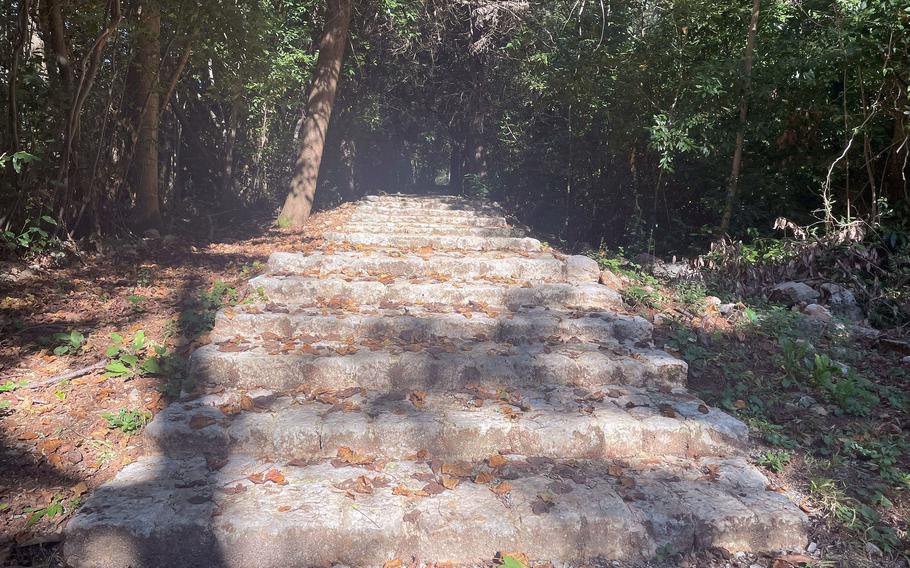 Stone steps head downward on the path.