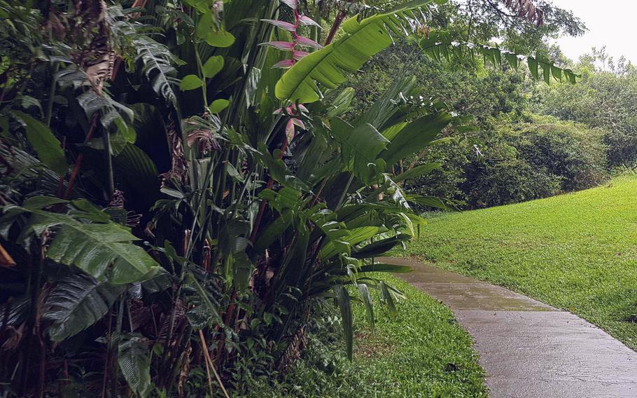 A pathway wends through Hoʻomaluhia, a city botanical garden in Kaneohe, Oahu, Hawaii.