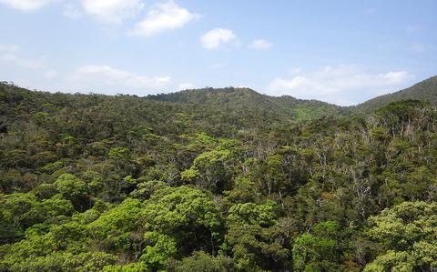 US, Japan agree to protect UNESCO sites, including former jungle ...