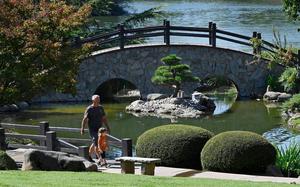 Allen Miller walks along the Koi Pond with his grandson Leonidas Bell, 3, inside  Shinzen Friendship Garden in Woodward Park on Sept. 5 in Fresno, Calif.