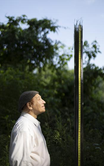 Jackson Madnick inspects a clear plastic tube containing extremely long grass roots at his home in Wayland, Mass. Now in its seventh generation, his grass mix grows roots that are at least 6 feet deep, but Madnick wants to see exactly how long they can grow.