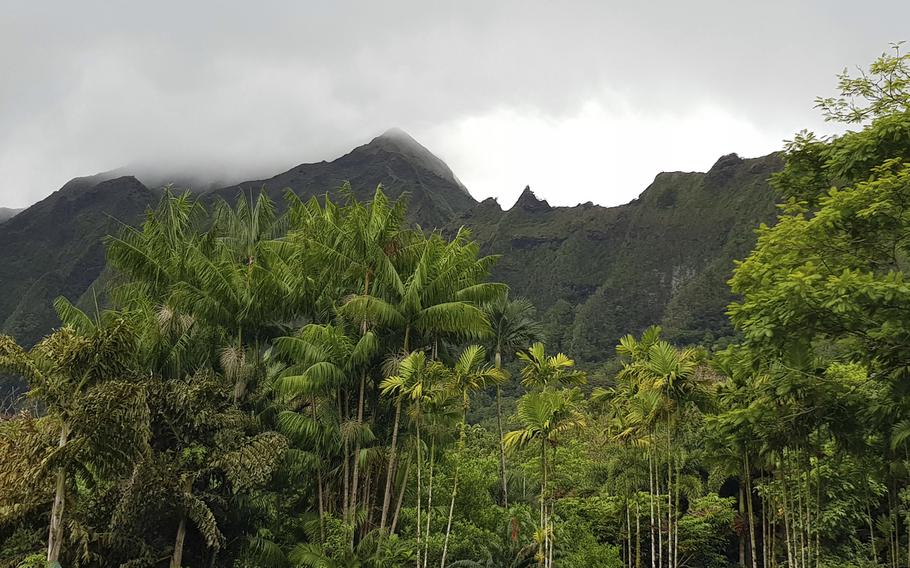 A nearby mountain range looms over Hoʻomaluhia, a city botanical garden in Kaneohe, Oahu, Hawaii. 