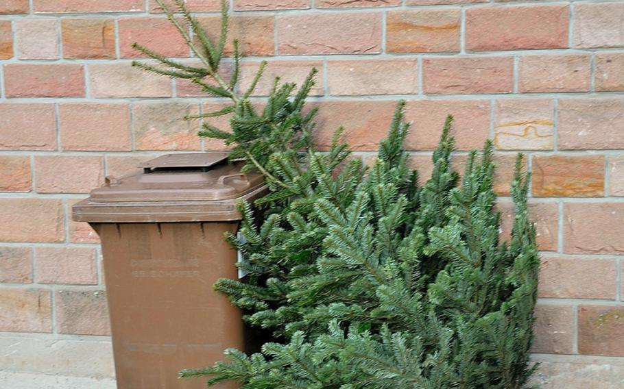 A Christmas tree next to a recycling bin