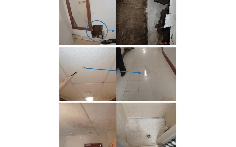 Pictures of mold in barracks housing