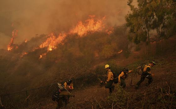 Fire Crews battle the Palisades Fire in Mandeville Canyon Saturday, Jan. 11, 2025, in Los Angeles. (AP Photo/Jae C. Hong)