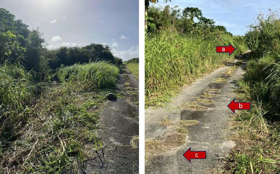 The photo at left shows vegetation flattened by a SRTV-SXV Tactical Vehicle that rolled over in the Northern Mariana Islands, severely injuring two airmen. The right photo shows tire marks departing the road, according to an Air Force report.