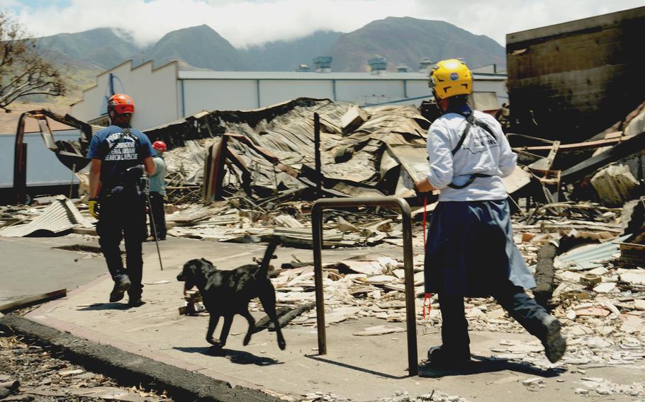 A FEMA Urban Search and Rescue team at work in Lahaina, Hawaii, on Aug. 14, 2023.