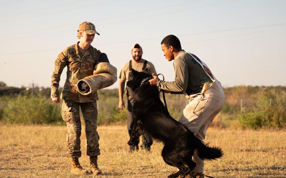 Air Force 2nd Lt. Madison Marsh braces herself to get bit by a military working dog