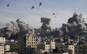 Birds fly across the sky. In the background, smoke rises from explosions in the West Bank.