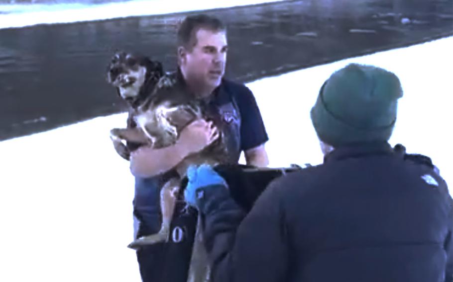 A man carries a dog out of an icy river.