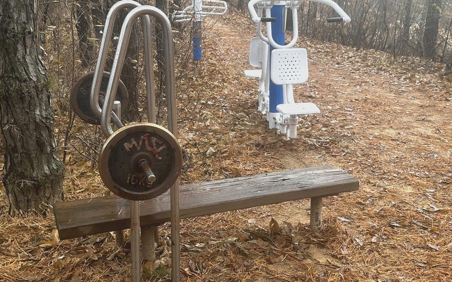 A plain wooden bench and a barbell, as well as metal seats and metal bars, sit outside in the woods.