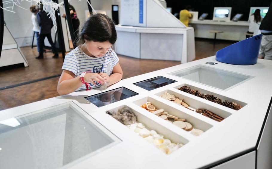 A young girl examines the textures and shapes of sea shells and pine cones at the Experimenta Science Center in Heilbronn, Germany, where interactive exhibits engage visitors of all ages in hands-on learning. 
