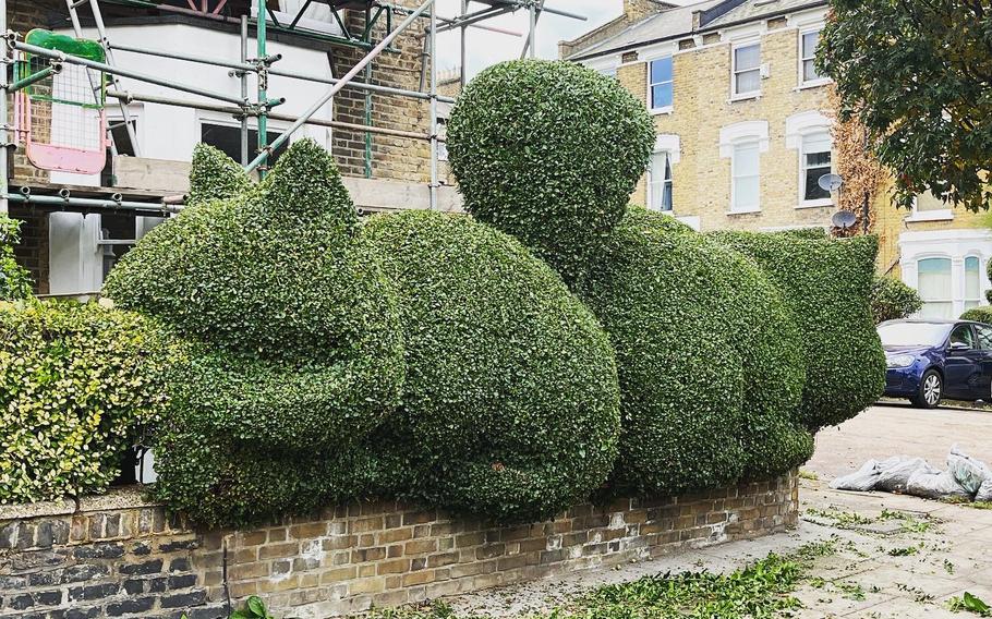 The squirrel and cats that Tim Bushe created in the yard of his neighbor across the street. 