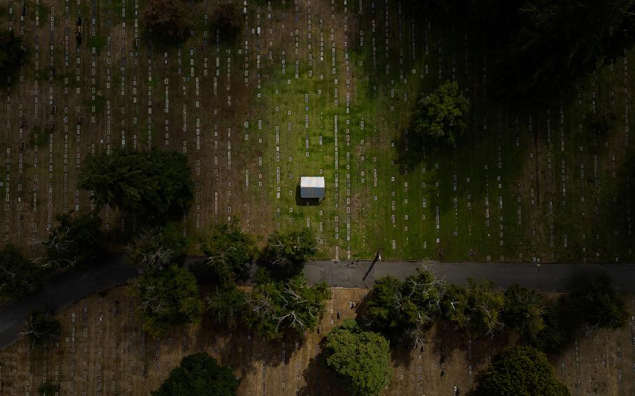 The Evergreen Washelli cemetery in Seattle. Mary Sara's brain is buried in a new spot near the top of her grave there. 