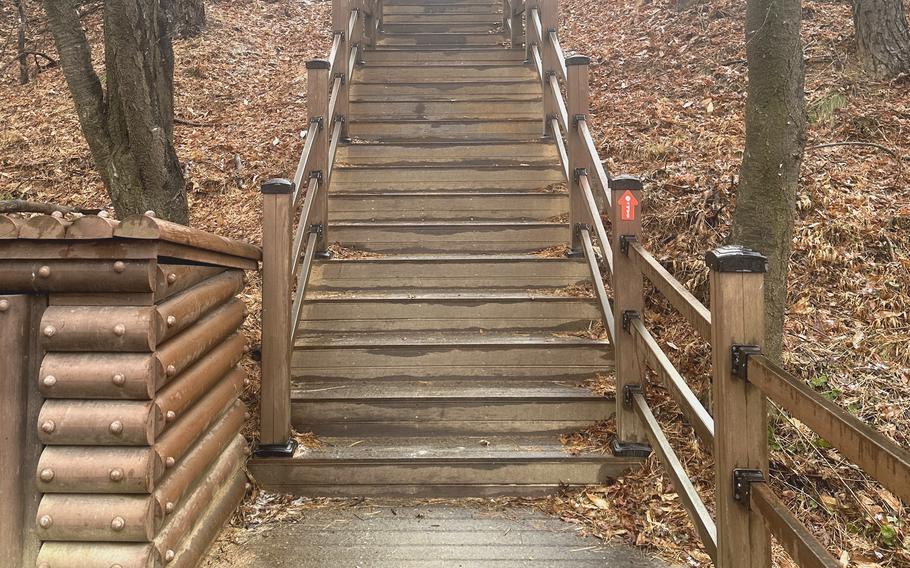 A wooden outdoor staircase is centered between underbrush and trees.