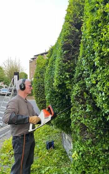 Tim Bushe shapes a hedge.  Although it only takes Bushe a few hours to style the shrubs into a sculpture, it takes roughly three years before they get to their intended shape. Plus, they require frequent maintenance.