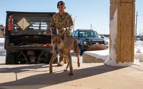 Senior Airman Victor Diaz, 28th Security Forces Squadron military working dog handler (MWD), enters the assessment zone with Lezer, 28th Security Forces Squadron military working dog, at Ellsworth Air Force Base, S.D., March 7, 2022. Certifications are held whenever a handler change occurs to ensure that MWDs are competent and able to detect trained odors. (U.S. Air Force photo by Senior Airman Michael Ward)