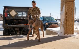 Senior Airman Victor Diaz, 28th Security Forces Squadron military working dog handler (MWD), enters the assessment zone with Lezer, 28th Security Forces Squadron military working dog, at Ellsworth Air Force Base, S.D., March 7, 2022. Certifications are held whenever a handler change occurs to ensure that MWDs are competent and able to detect trained odors. (U.S. Air Force photo by Senior Airman Michael Ward)