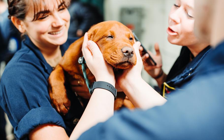 Sailors Caitlin Glick, right, and Kyra Martinez cuddle a puppy from Mutts on a Mission, aboard the Nimitz-class aircraft carrier USS George Washington in Newport News, Va., March 28, 2023. 