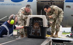 Air Force Tech. Sgt. Nicholas Lande and Senior Airman Michael Omana unload pets from the Patriot Express at Royal Air Force Mildenhall, England, in May 2023.