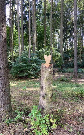 A heart is carved into a tree along as part of an art project at the Ohmbachsee between Schönenberg-Kübelberg and Gries in Germany.