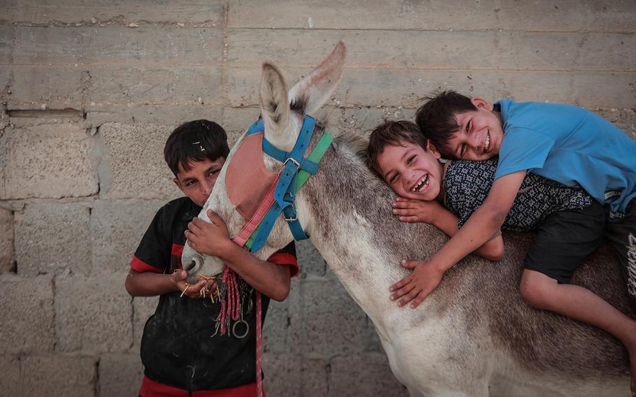 Children with a donkey last month in Beit Lahia, in the northern Gaza Strip. 