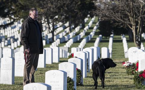 More than a quarter-million wreaths laid at Arlington National Cemetery ...