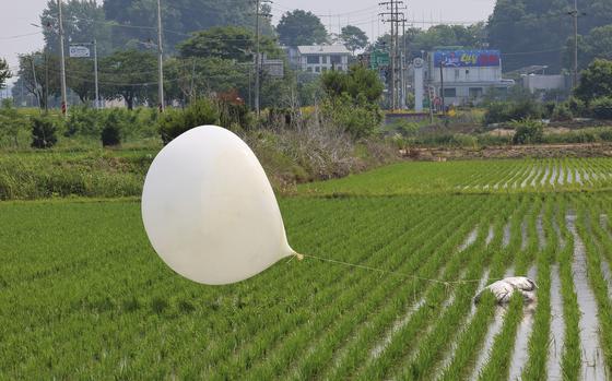 A balloon presumably sent by North Korea, is seen in a paddy field in Incheon, South Korea, on June 10, 2024. South Korea is monitoring an expected change in the wind direction on Monday, June 24 that could allow North Korea to send more trash-carrying balloons across their heavily armed border, in their latest bout of tit-for-tat psychological warfare. 