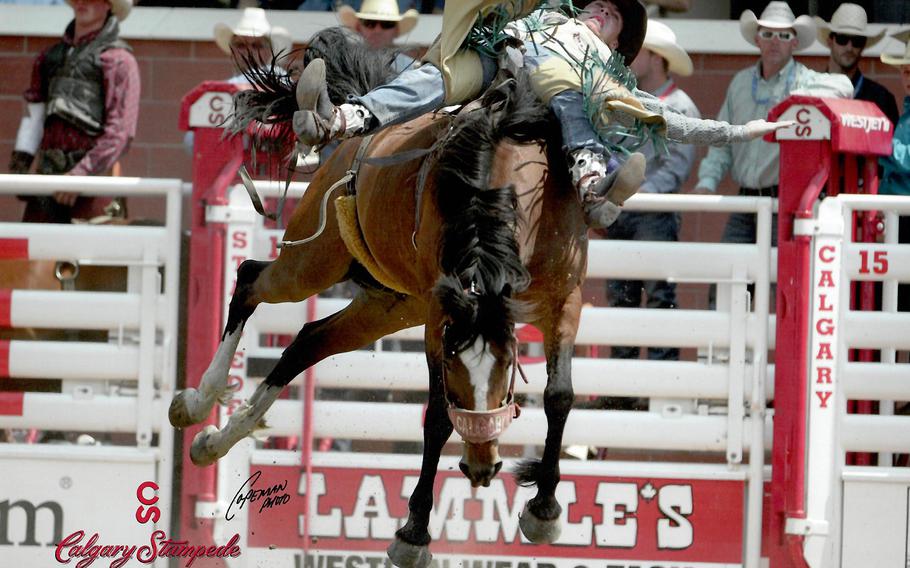 Jaden Clark competes in the 20 and under bareback riding category at the July 2015 Calgary Stampede in Calgary, Alberta. Clark, a specialist with the Nebraska Army National Guards 1-134th Cavalry Squadron, is looking to earn his spurs, a rite of passage for cavalry scouts. 