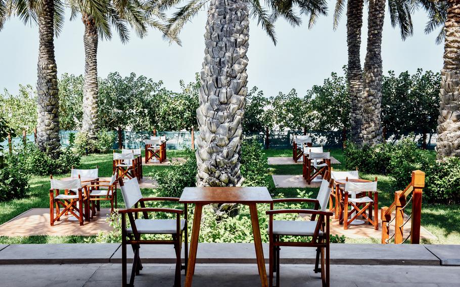 Tables and chairs are placed in the shade of large palm trees at GB Cafe, Bahrain Forts museum cafe.