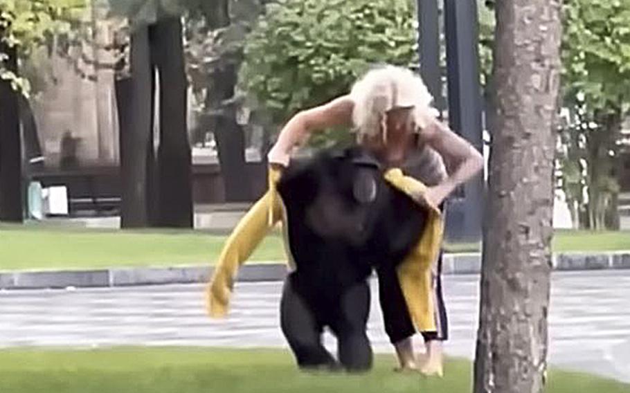 A video screen grab shows Chichi, a chimpanzee that escaped from the Kharkiv zoo in Ukraine, getting help putting on a yellow rain jacket.