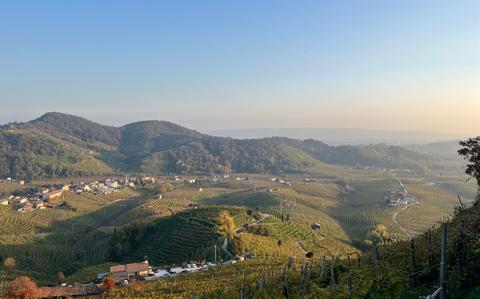 A hill in Valdobbiadene, Italy, looks out over the region where Prosecco comes from. Nearby vending machines sell the famous wine along with other items.