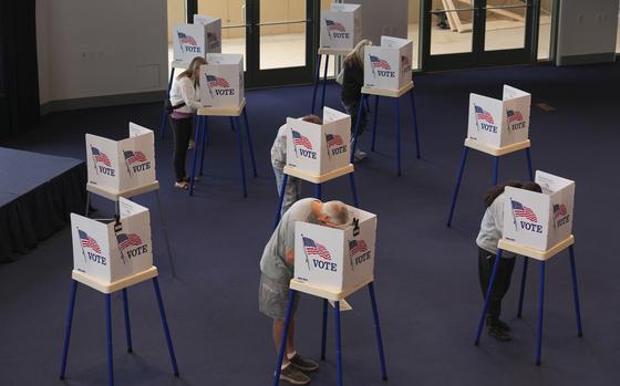 Voters stand at booths to cast ballots.