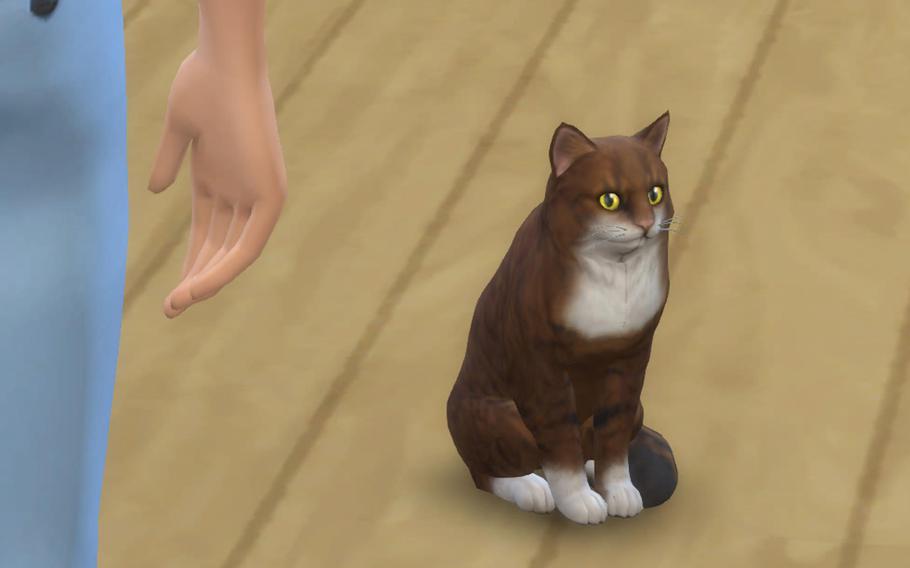 Kalisek’s real-life cats look nearly identical to the ones she created in The Sims months earlier. 