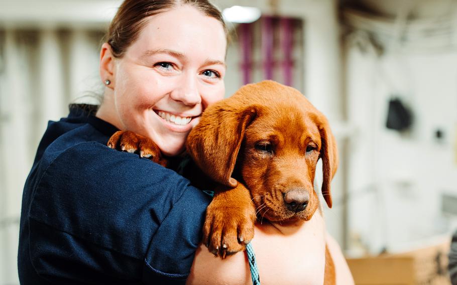 Sailor Caitlin Glick cuddles a puppy from Mutts on a Mission, aboard the Nimitz-class aircraft carrier USS George Washington in Newport News, Va., March 28, 2023. 