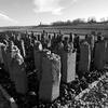 Stone markers stand in rows with smaller rocks on top and the names of concentration camp victims inscribed on the sides.