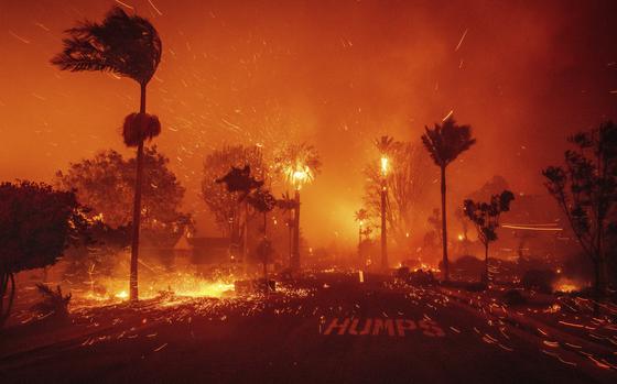 A street lined with palm trees on either side is shrouded in the haze of fire ahead, with a couple trees catching fire.