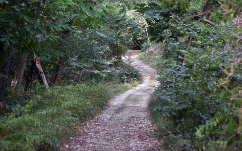 Road less traveled between Italian towns near Aviano is a quiet wonder ...