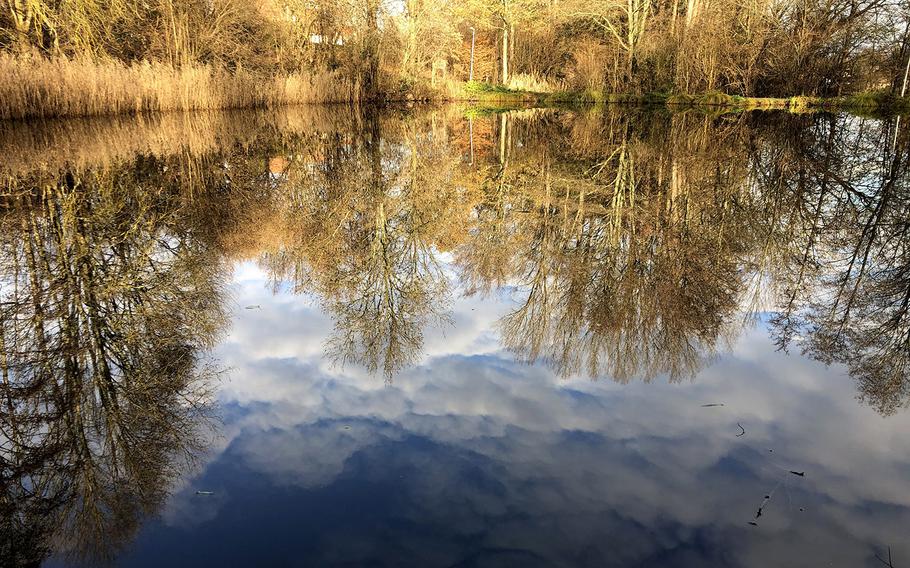 Calm water reveals a reflection of the beauty of Siegelbach Park in Kaiserslautern, Germany.