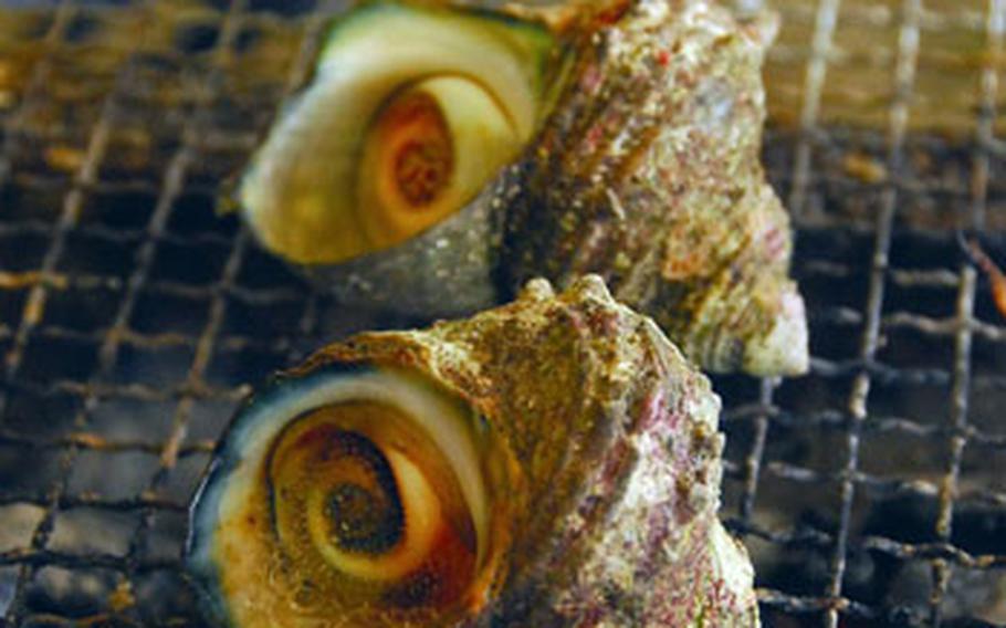 Sazae snails, which are slightly bitter, cook in their shells on a grill.