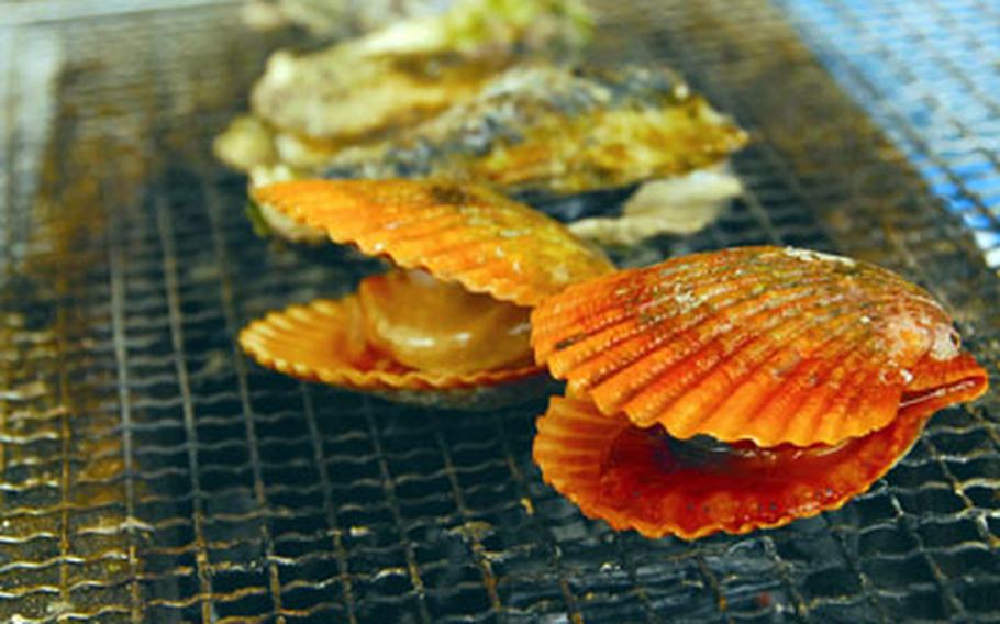 Hiogi shellfish are 200 yen apiece at the Sasebo Oyster Festival at the Kashimae marina in Sasebo, Japan.