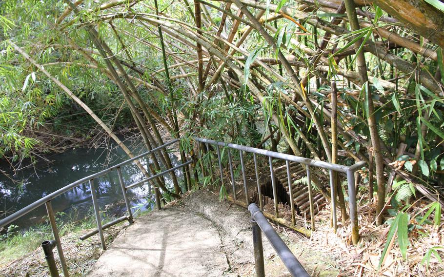 The entry to Cpl. Shoichi Yokoi's cave sits about 12 feet above the Ugum River in Guam.