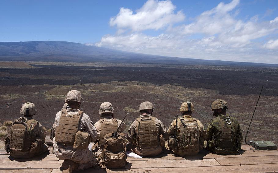 U.S. Marines, Australian Army soldiers, New Zealand Army soldiers, and Canadian Army soldiers observe a target area during RIMPAC exercise 2014. 