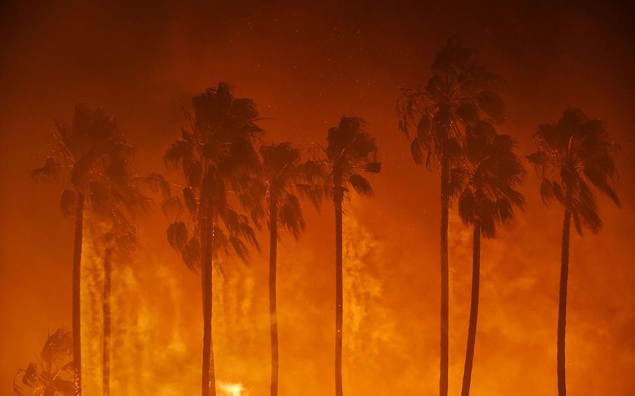 Smoke blows out of the burning palm trees as brush fire threaten homes in Ventura, Calif., on Tuesday, Dec. 5, 2017.