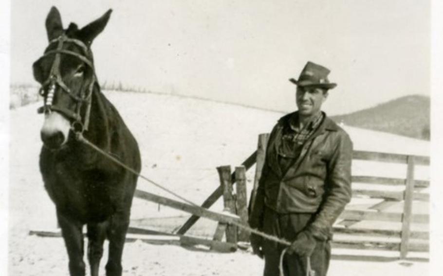 U.S. Army 1st Lt. Garlin M. Conner with his mule, Diner, in the 1950s. 