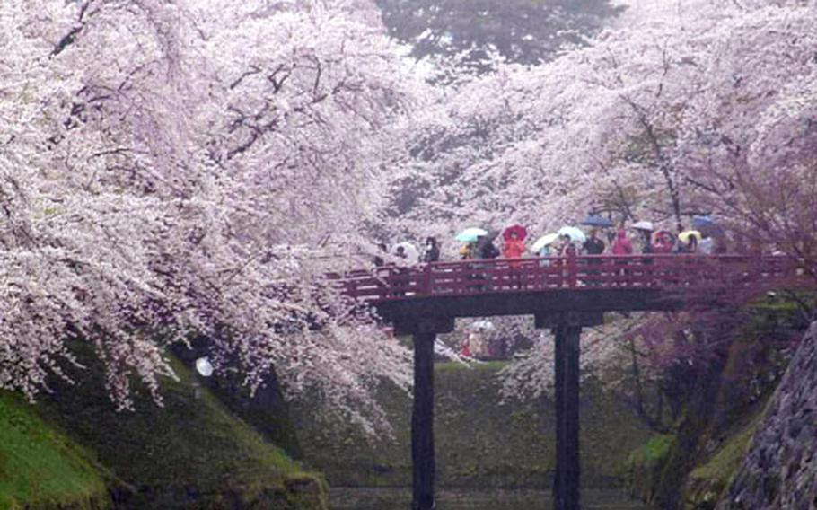 Spectators fill a bridge spanning the Hirosaki Castle moat in a previous bloom to catch a glimpse of some of the 5,000 cherry blossom trees in full bloom. Share your pictures with us by emailing tibbetts.meredith@stripes.com. Photographs may be used in print and on the web. By submitting content, you are granting Stars and Stripes a non-exclusive license to use your content in its newspaper, in print or in digital format, or in any other commercial manner of its choosing. You further warrant that you own or control the copyrights to the content (text and/or image) you are submitting and that its republication by Stars and Stripes will not violate the intellectual property rights or privacy/publicity rights of any third party.