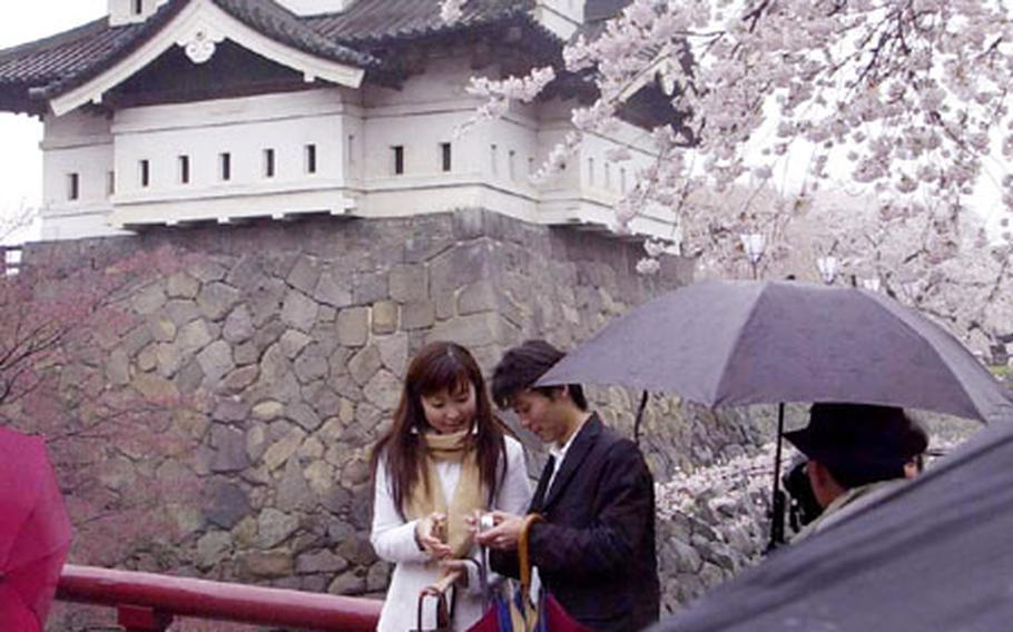 A couple examine a digital camera photo of themselves taken in front of Hirosaki Castle in northern Japan Saturday during the city&#39;s annual cherry blossom festival.