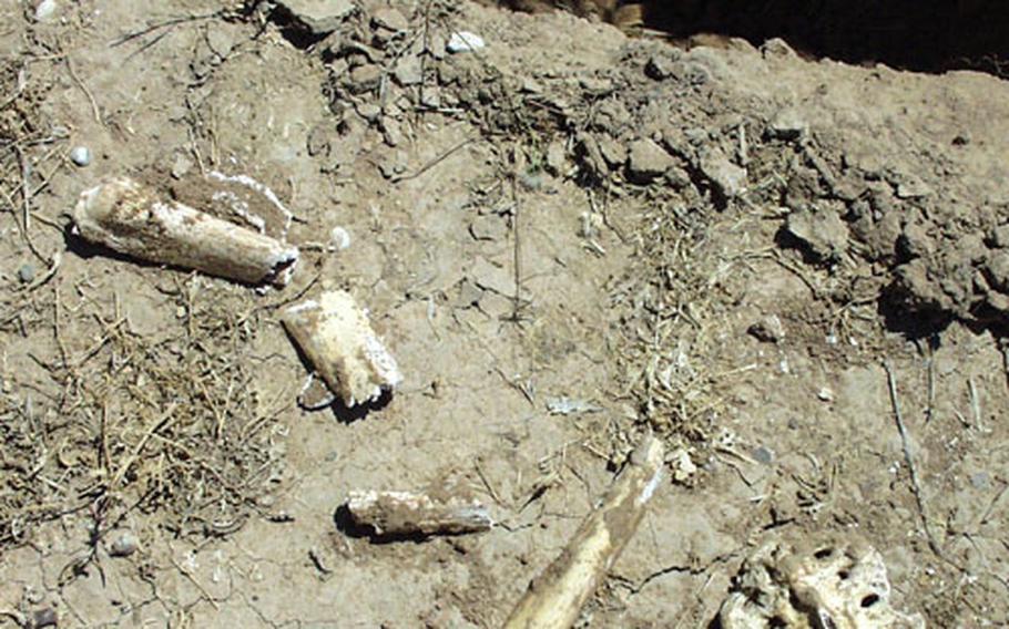 Soldiers unearthed parts of a vertebra and hundreds of other human remains Friday at a mass grave near Kirkuk, Iraq.