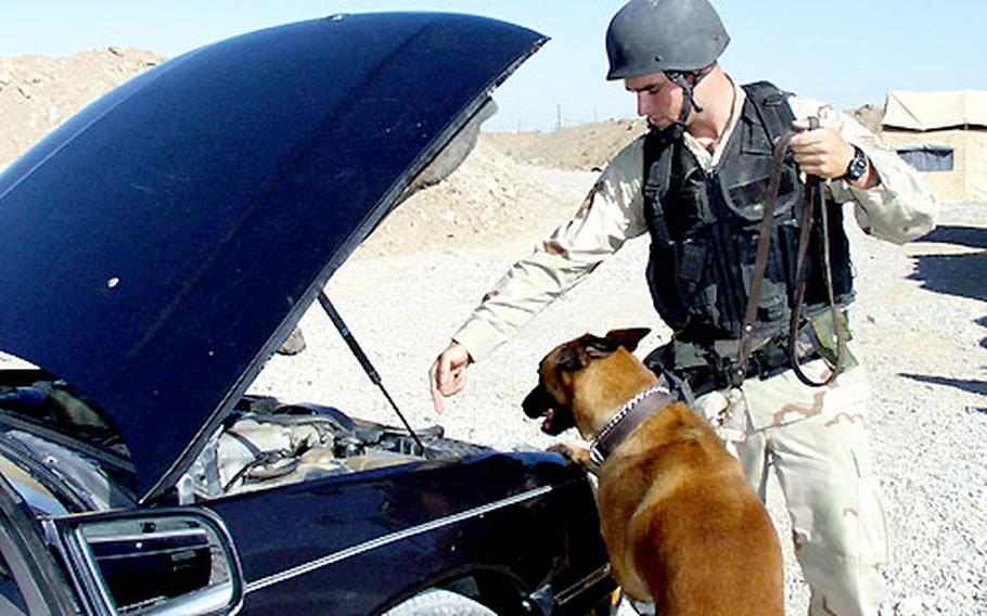 Staff Sgt. Russell McLaughlin searches a vehicle with the help of his dog, Sonja, at the U.S. airfield at Kirkuk.
