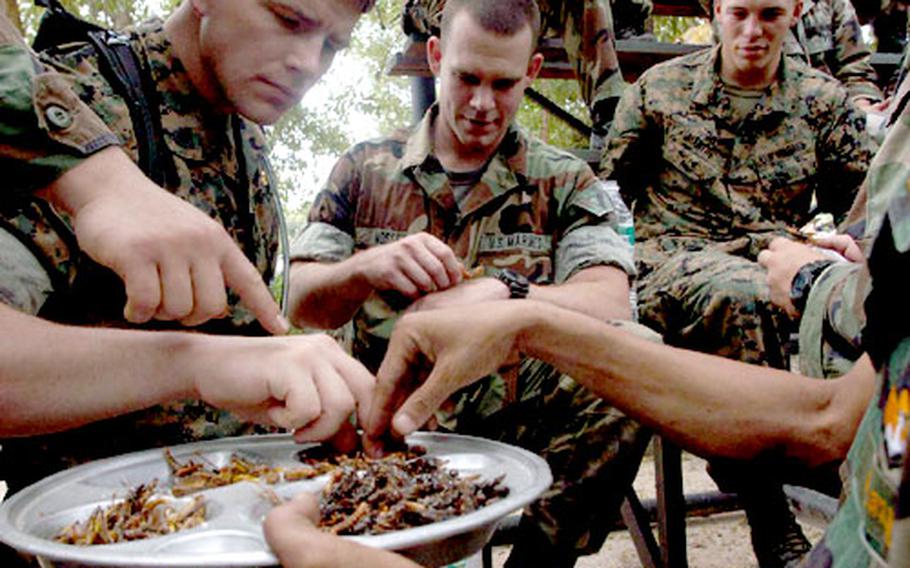 U.S. Marines sample grasshoppers and other bugs during the jungle-survival class.